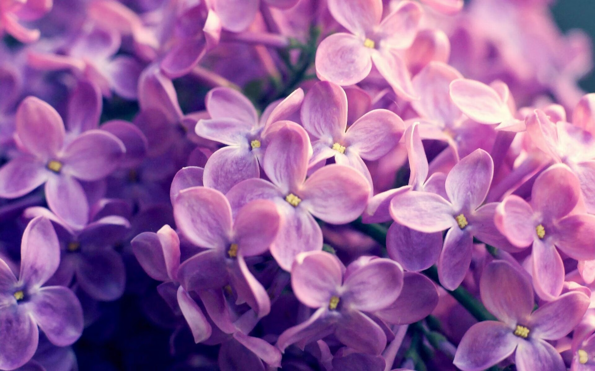 库里:在NBA历史上留下“火花”般的投篮传说!,库里的投篮集锦