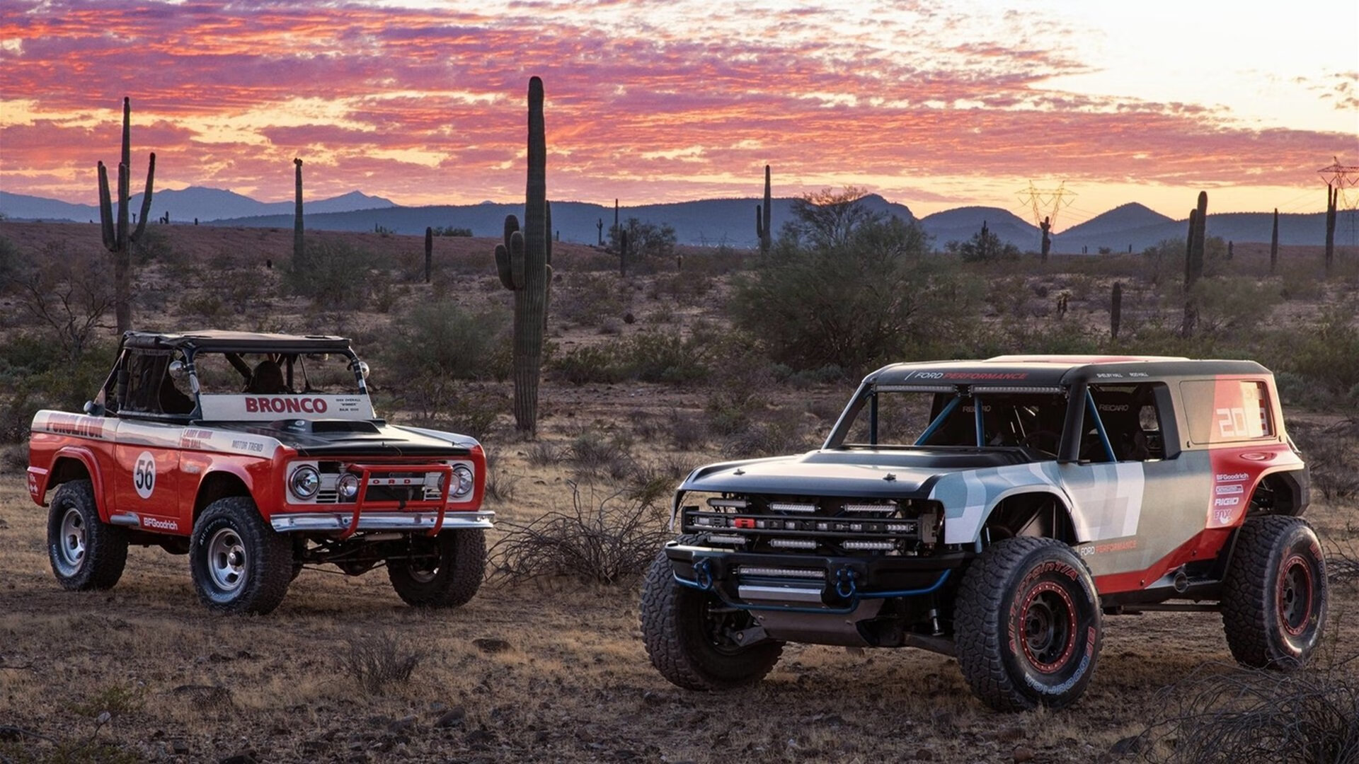 九游社区-“青春逐梦”体育公益跑在青海拉开帷幕，推动全民健身新高潮
