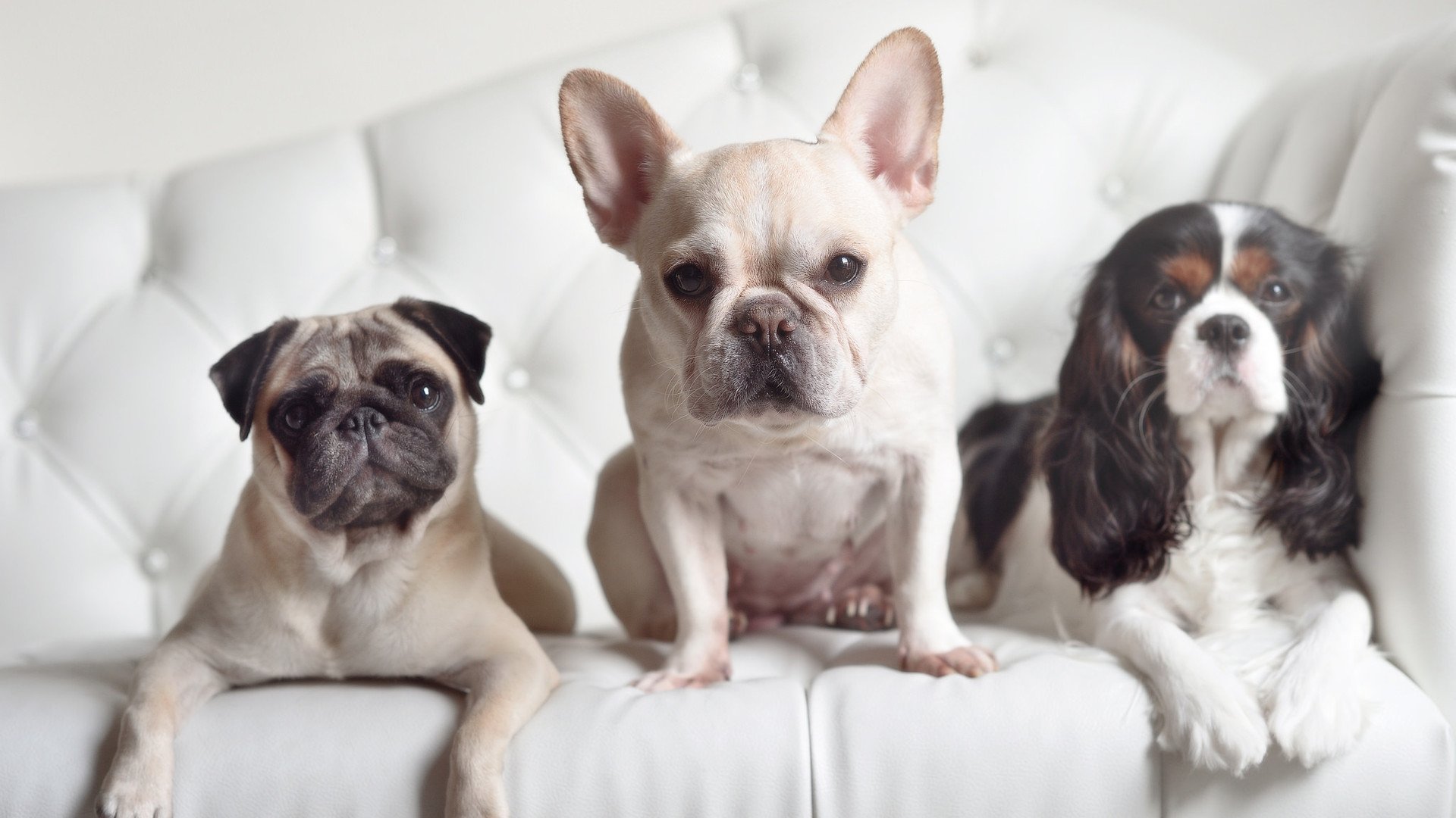 九游娱乐电竞站-《【电竞衍生品】周边市场火热，限量皮肤引爆收藏热潮》，电竞周边 网站