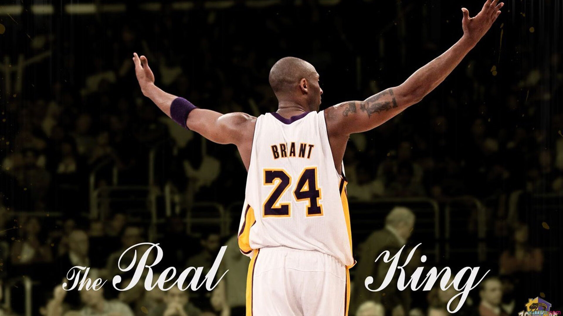 九游娱乐官网 (jiuyou)-NBA全明星阵容正式揭晓，nba全明星阵容里面有哪些球员