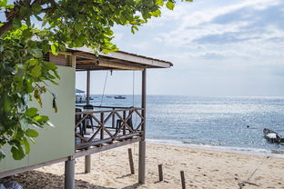 九游在线玩-绿色场馆覆盖智能环保系统，推动全球体育绿色低碳行动，绿色场馆建设